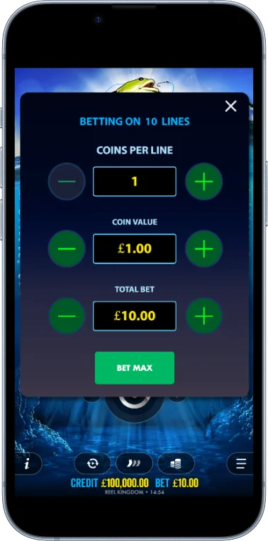 Betting settings in the Big Bass Bonanza game